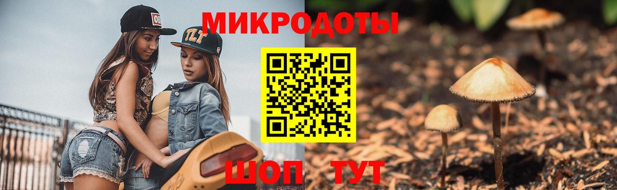 Канск  Галлюциногенные грибы Magic Shrooms  Вход с VPN  купить   Галлюциногенные грибы GOLDEN TEACHER 